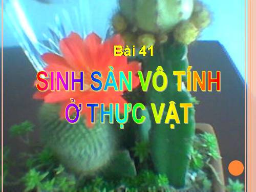 Bài 41. Sinh sản vô tính ở thực vật