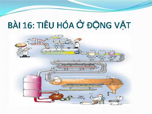 Bài 16. Tiêu hoá ở động vật (tiếp theo)