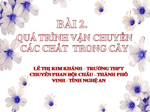 Bài 2. Vận chuyển các chất trong cây