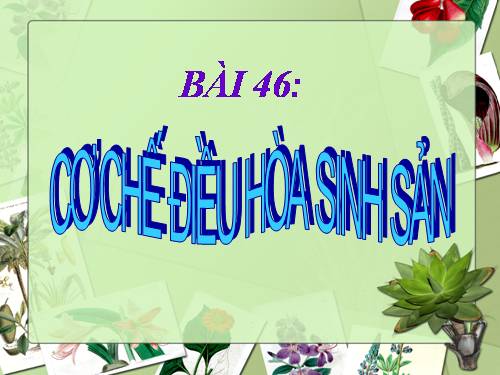 Bài 46. Cơ chế điều hòa sinh sản