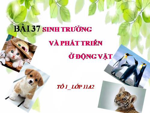 Bài 37. Sinh trưởng và phát triển ở động vật