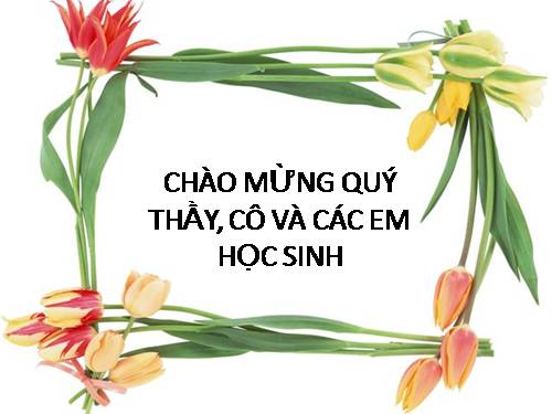 Bài 44. Sinh sản vô tính ở động vật