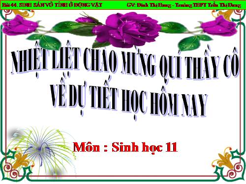 Bài 44. Sinh sản vô tính ở động vật