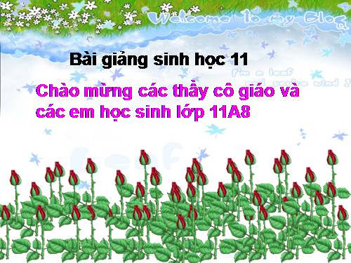 Bài 37. Sinh trưởng và phát triển ở động vật