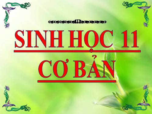 Bài 44. Sinh sản vô tính ở động vật