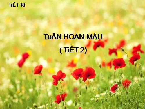 Bài 19. Tuần hoàn máu (tiếp theo)