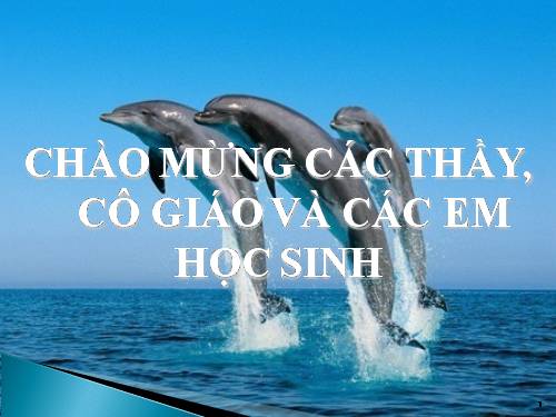 Bài 31. Tập tính của động vật