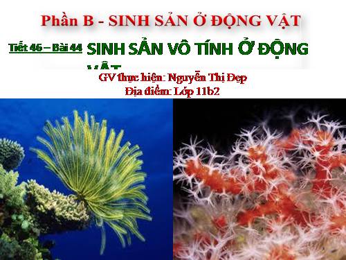 Bài 44. Sinh sản vô tính ở động vật