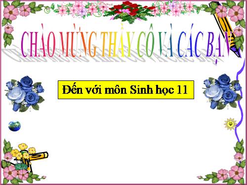 Bài 47. Điều khiển sinh sản ở động vật và sinh đẻ có kế hoạch ở người