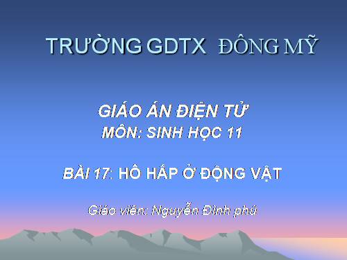 Bài 17. Hô hấp ở động vật