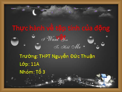 Bài 33. Thực hành: Xem phim về tập tính của động vật