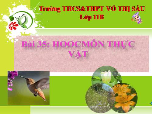 Bài 35. Hoocmôn thực vật