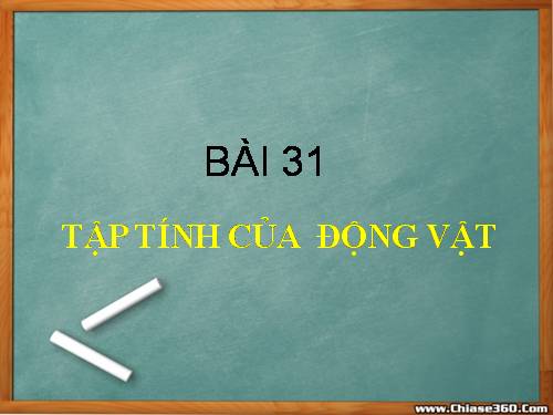 Bài 31. Tập tính của động vật