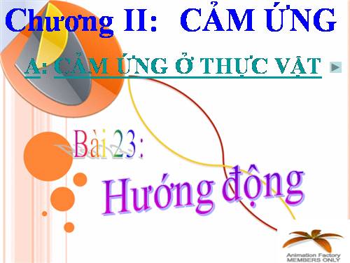 Bài 23. Hướng động