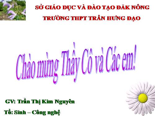 Bài 15. Tiêu hoá ở động vật