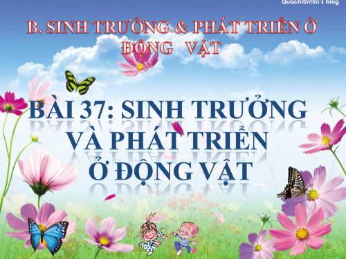 Bài 37. Sinh trưởng và phát triển ở động vật