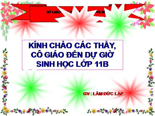 Bài 27. Cảm ứng ở động vật (tiếp theo)