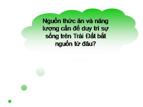 Bài 8. Quang hợp ở thực vật