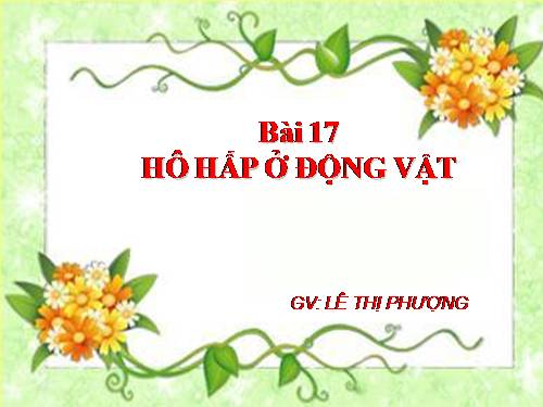 Bài 17. Hô hấp ở động vật