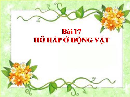 Bài 17. Hô hấp ở động vật