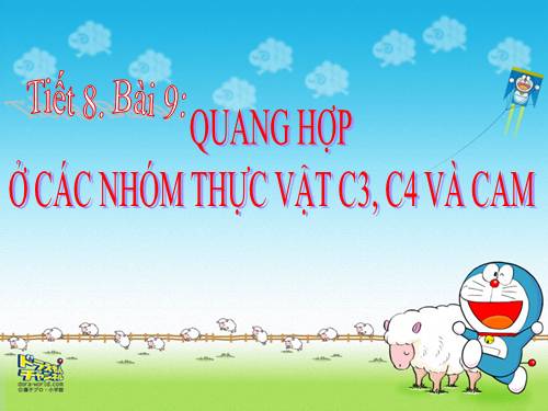 Bài 9. Quang hợp ở các nhóm thực vật C3, C4 và CAM