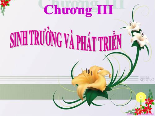 Bài 36. Phát triển ở thực vật có hoa