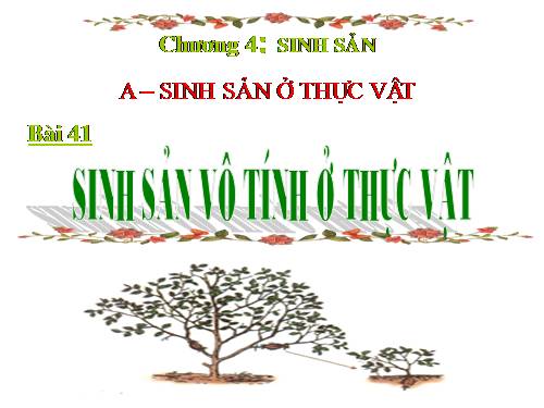 Bài 41. Sinh sản vô tính ở thực vật