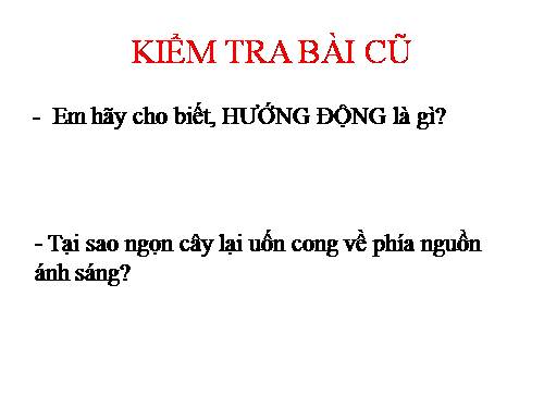 Bài 26. Cảm ứng ở động vật