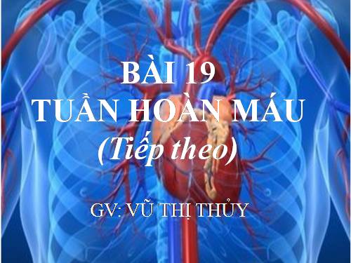 Bài 19. Tuần hoàn máu (tiếp theo)