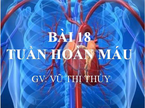 Bài 18. Tuần hoàn máu