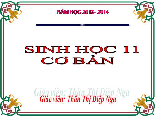 Bài 6. Dinh dưỡng nitơ ở thực vật (tiếp theo)