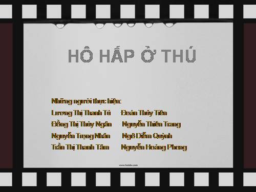 Bài 12. Hô hấp ở thực vật