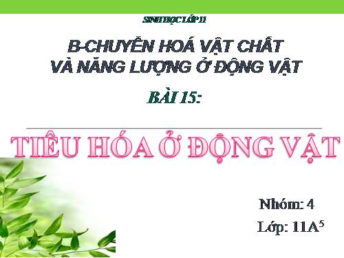 Bài 15. Tiêu hoá ở động vật