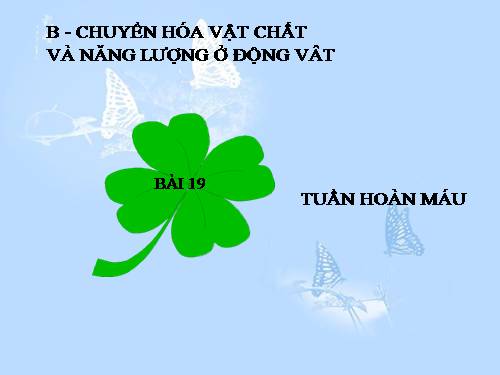 Bài 19. Tuần hoàn máu (tiếp theo)