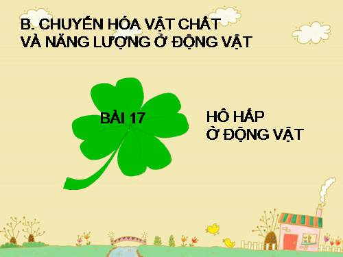 Bài 17. Hô hấp ở động vật