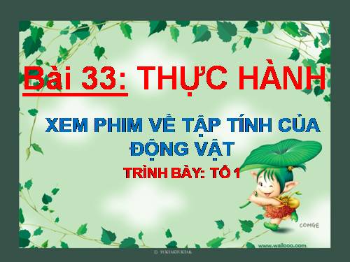 Bài 33. Thực hành: Xem phim về tập tính của động vật