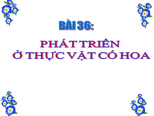 Bài 36. Phát triển ở thực vật có hoa