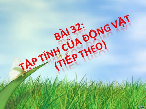 Bài 32. Tập tính của động vật (tiếp theo)