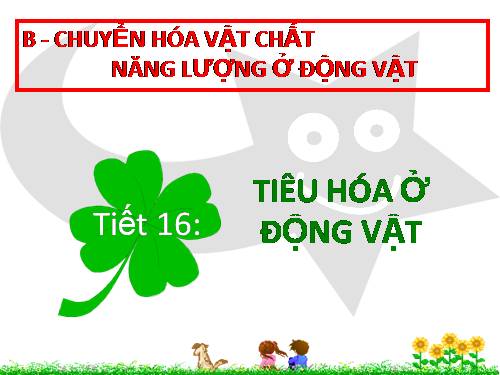 Bài 15. Tiêu hoá ở động vật