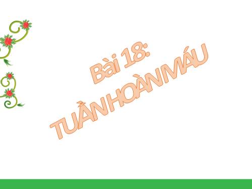 Bài 18. Tuần hoàn máu