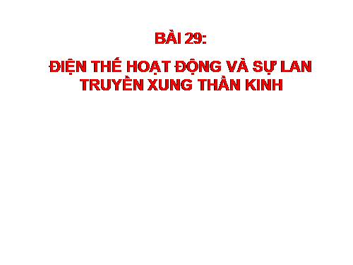 Bài 29. Điện thế hoạt động và sự lan truyền xung thần kinh