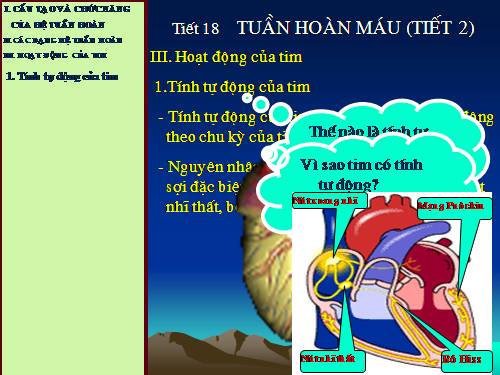 Bài 19. Tuần hoàn máu (tiếp theo)