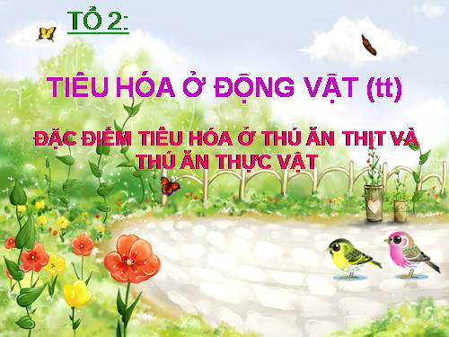 Bài 16. Tiêu hoá ở động vật (tiếp theo)