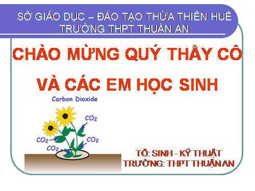 Bài 8. Quang hợp ở thực vật