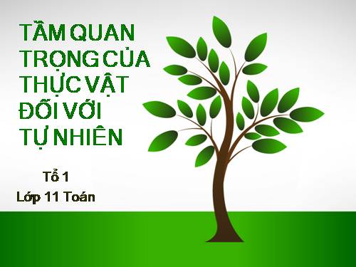 Tầm quan trọng của thực vật