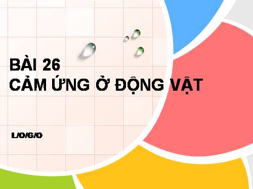 Bài 26. Cảm ứng ở động vật