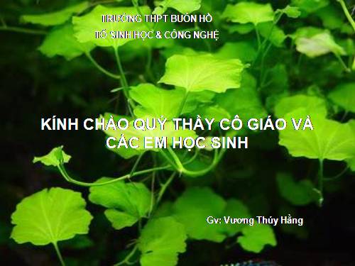 Bài 16. Tiêu hoá ở động vật (tiếp theo)