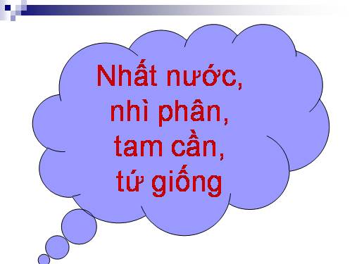 Bài 4. Vai trò của các nguyên tố khoáng