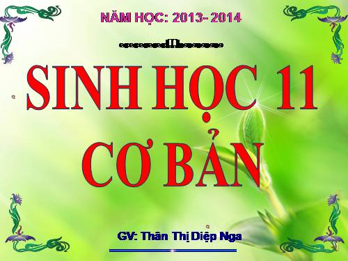Bài 9. Quang hợp ở các nhóm thực vật C3, C4 và CAM