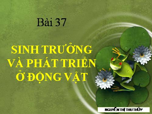 Bài 37. Sinh trưởng và phát triển ở động vật